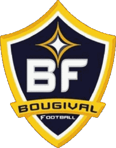 Deportes Fútbol Clubes Francia Ile-de-France 78 - Yvelines Bougival FC 