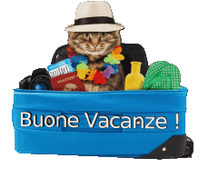 Mensajes Italiano Buone Vacanze 12 