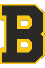 1936-Deportes Hockey - Clubs U.S.A - N H L Boston Bruins 1936