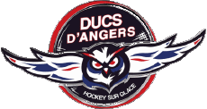 Sports Hockey - Clubs France Ducs d'Angers 