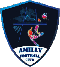 Sports FootBall Club France Centre-Val de Loire 28 - Eure-et-Loire Amilly FC 