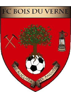 Sportivo Calcio  Club Francia Bourgogne - Franche-Comté 71 - Saône et Loire FC Bois du Verne 