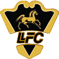 Sports FootBall Club Amériques Colombie Llaneros Fútbol Club 