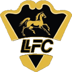 Sportivo Calcio Club America Colombia Llaneros Fútbol Club 