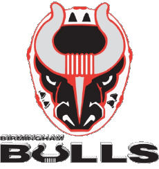 Deportes Hockey - Clubs U.S.A - S P H L Birmingham Bulls 