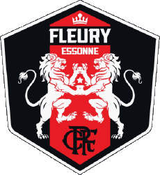 Sports Soccer Club France Ile-de-France 91 - Essonne FC Fleury 91 