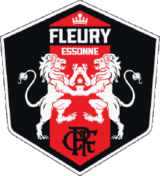 Sports Soccer Club France Ile-de-France 91 - Essonne FC Fleury 91 