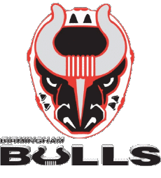 Deportes Hockey - Clubs U.S.A - S P H L Birmingham Bulls 