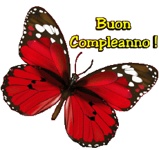 Messages Italien Buon Compleanno Farfalle 004 