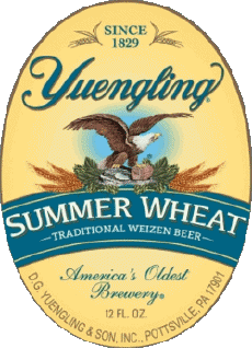 Getränke Bier USA Yuengling 