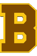 1932-Deportes Hockey - Clubs U.S.A - N H L Boston Bruins 1932