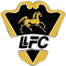 Sportivo Calcio Club America Colombia Llaneros Fútbol Club 