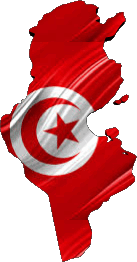 Fahnen Afrika Tunesien Karte 