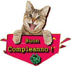Mensajes Italiano Buon Compleanno Animali 002 