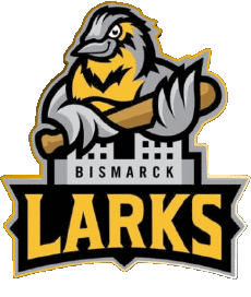 Sport Baseball U.S.A - Northwoods League Bismarck Larks 