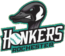 Sportivo Baseball U.S.A - Northwoods League Rochester Honkers 